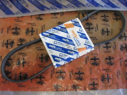 7758970 Multiriem 923mm