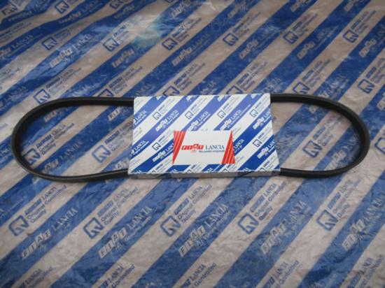 7771529 Multiriem 1003mm