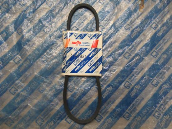 4156931 V snaar 813mm