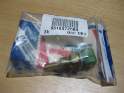 9618572580 Tempratuursensor M14x1.25 2 polig