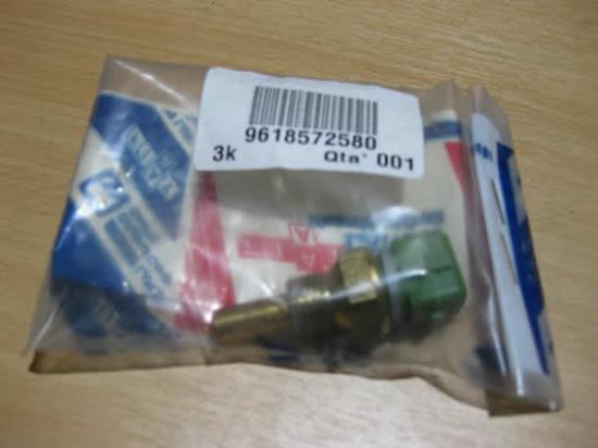 9618572580 Tempratuursensor M14x1.25 2 polig