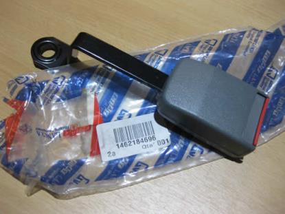 1462184696 Gordel tulp