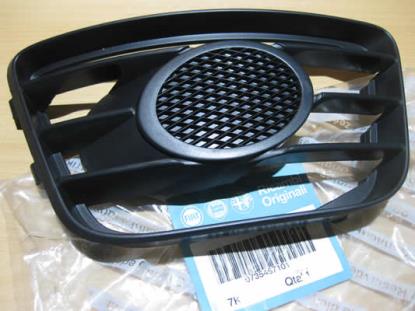 735457101 Grille rechts