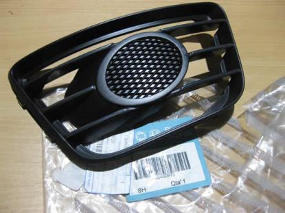 735460973 Grille rechts