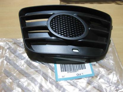 735460977 Grille links