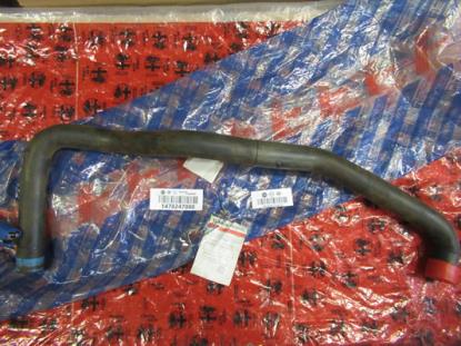 1478247080 Koelslang