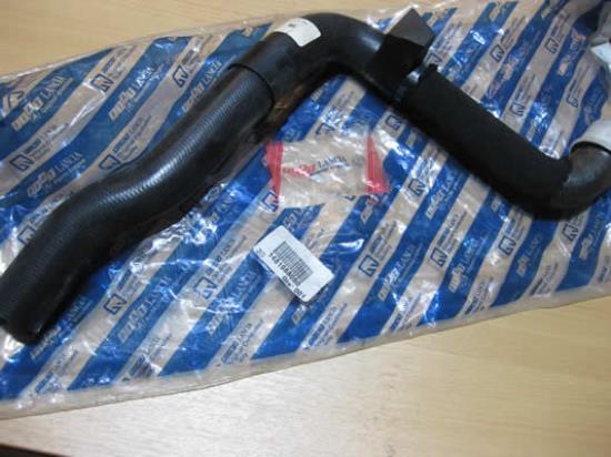 1481988080 Koelslang