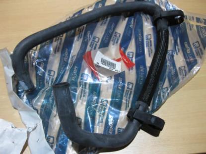 1488378080 Koelslang