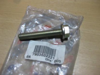 7903602221 Bout M10x60mm