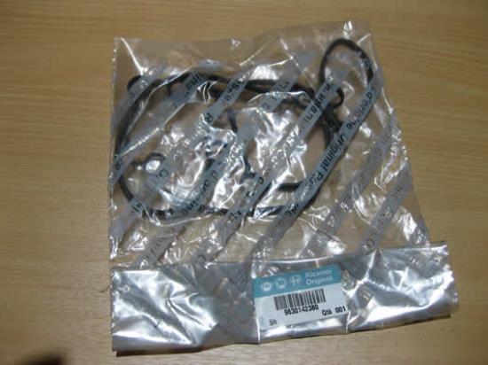 9630142380 Kleppendeksel pakking