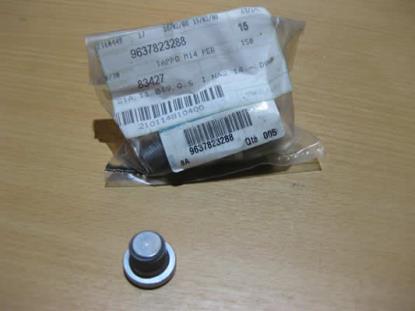 9637823288 Carterplug M14 x 1.25