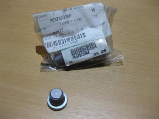 9637823288 Carterplug M14 x 1.25