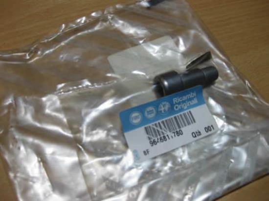 9646811780 Banjo bout