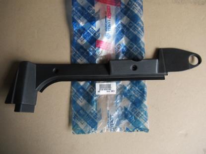 181855180 Sierstuk rechts