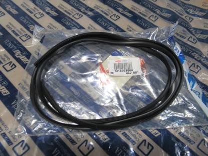 1318953080 Pakking voorruit