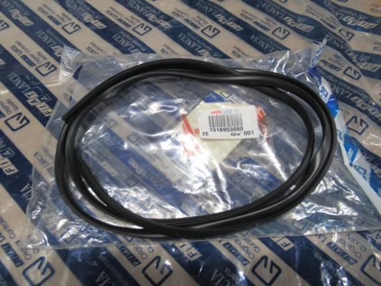 1318953080 Pakking voorruit