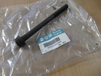 55192265 Bout M10X119