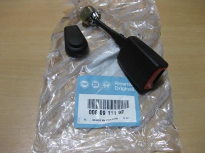 60911192 Gordeltulp links