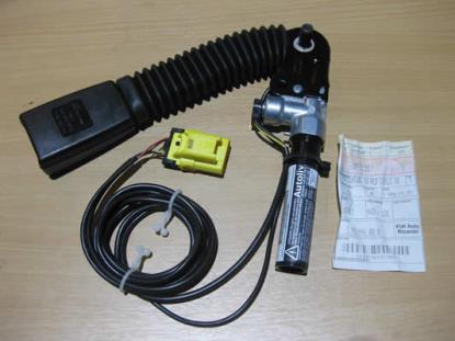 60911357 Gordeltulp links