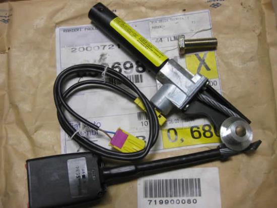 719900080 Gordeltulp rechts