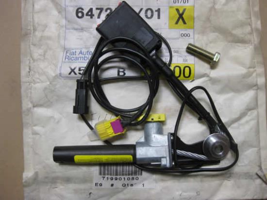 719901080 Gordeltulp links