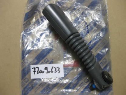 720090633 Gordeltulp rechts