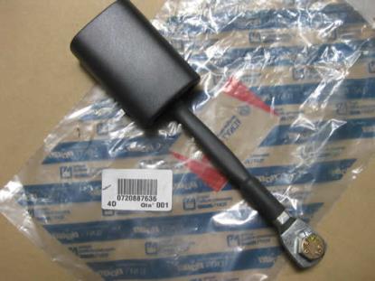 720887636 Gordeltulp rechts