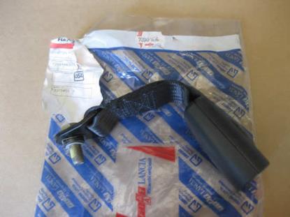 720891636 Gordeltulp