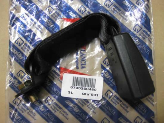 735250480 Gordeltulp