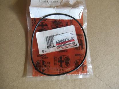 60806738 O-ring differentieel