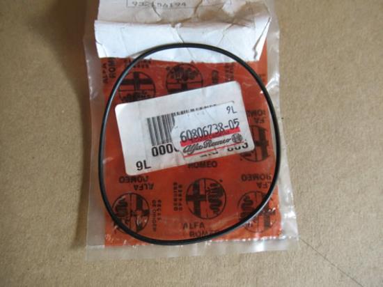 60806738 O-ring differentieel