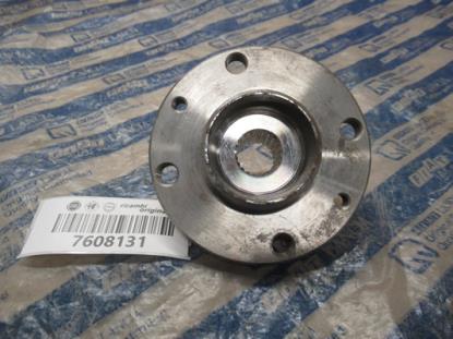7608131 Wielnaaf