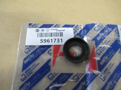 5961731 Ring voor raamslinger