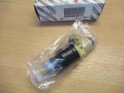 5969614 Injector