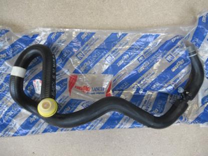 46758555 Rembekrachtigingslang