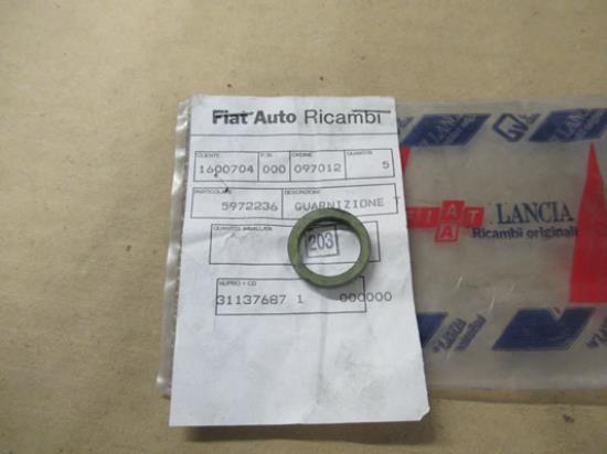 5972236 Pakking oliepompzeef