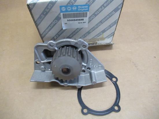 9566945688 Waterpomp