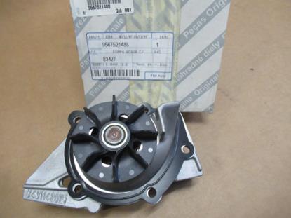 9567521488 Waterpomp