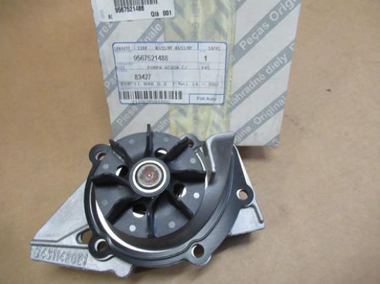 9567521488 Waterpomp