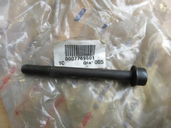 7769691 Bout M10x105