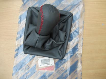 735260199 Versnellingspook met hoes