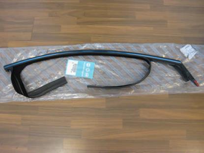 51809109 Profielrubber deur rechter voorzijde