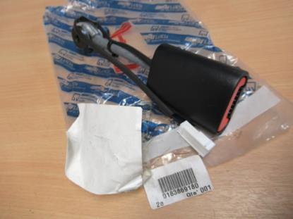 183869180 Gordeltulp