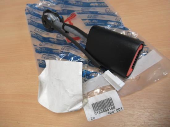 183869180 Gordeltulp