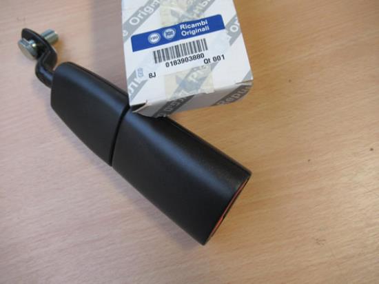 183903880 Gordeltulp