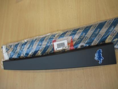 46517441 Sierlijst rechterzijde