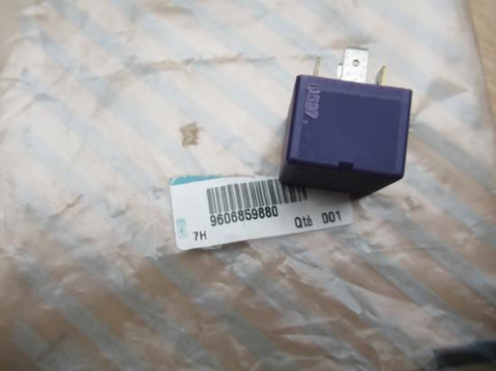 9606859880 Relais