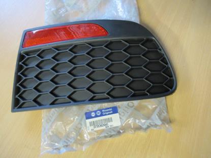 735362640 Grille linkerzijde