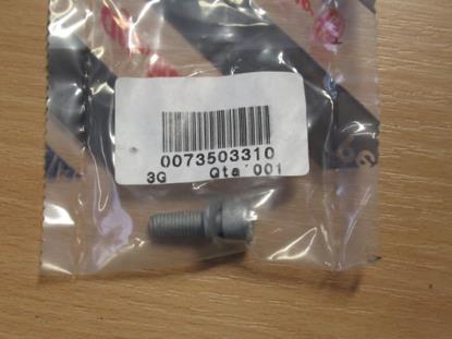 73503310 Bout met ring