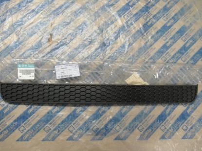 735405642 Grille achterzijde